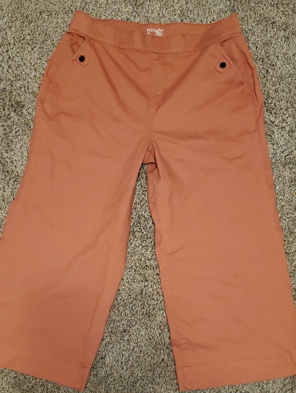 Terra & Sky Women's Rust Orange Cropped Chino Pants